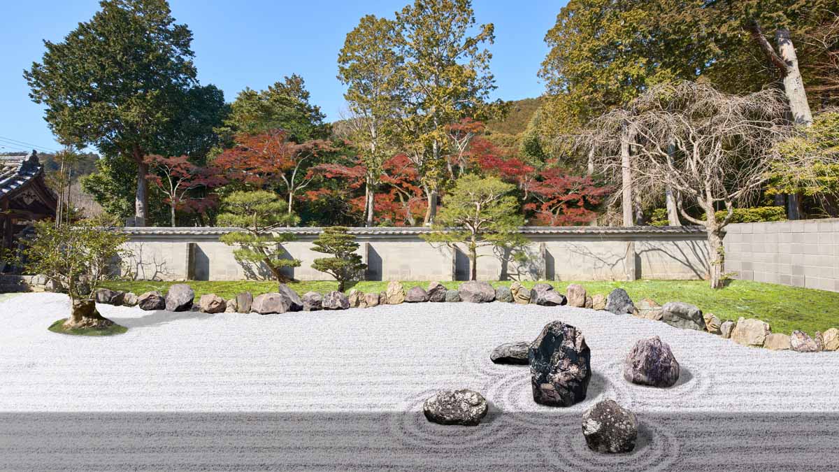 JR東海「そうだ 京都、行こう。」30周年特別プラン歴史文化を未来につなぐ取り組みに関わる旅